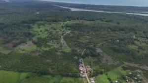 Foto 21-5-24, 1 50 01 p. m.